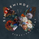 Ny singel med Simple Minds