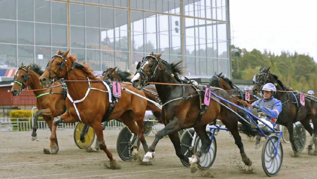 Stjärnspäckad kallblodskväll på Gävletravet 31 oktober